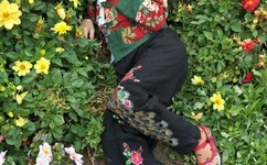 宝宝再深一点一可以吗